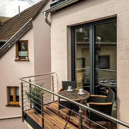 Assenmacher Mit Sauna 公寓